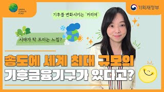 국제기구 근무환경과 취업비결 이 영상 하나로 다 끝내세요! - 녹색기후기금(GCF) 현직자 인터뷰