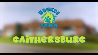 Hounds Town USA Store Walkthrough - Gaithersburg, MD