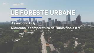 Le Foreste Urbane