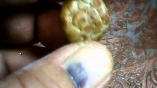 #x202b;حجر الداودي نادر على شكل ثعبان من ابو زكريا الكربلائي#x202c;lrm;