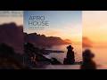 ZUBRA MUSIC • South African Soul • Afrohouse Mix for Car & Dance 🚗💃