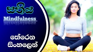 How to practice mindfulness meditation || EP 3 || mindfulness for beginners || a light to life