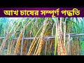 জেনে নিন আখ চাষের সম্পূর্ণ  পদ্ধতি এবং জমি নির্বাচন Tech Bangla bd