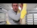 MY GIANT SNAKE'S BABY DADDY! | BRIAN BARCZYK