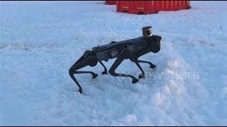 CHINA'S ROBOTIC DOG:  CONQUEROR OF ANTARCTICA