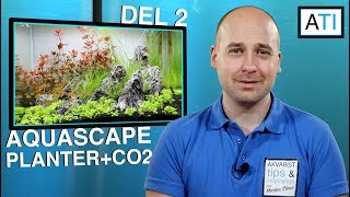 AquaScape - Planter, CO2 og fisk - 50 liter (del 2)