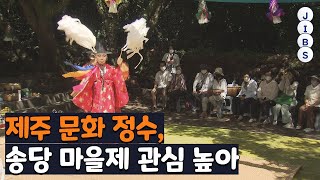 제주 문화 정수, 송당 마을제 관심 높아 / JIBS / 제주 / 2022.08.10