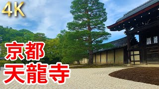 【京都的寺廟 天龍寺】京都嵐山的天龍寺，日本庭園草地青青視野廣闊