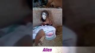 Alien found at Maharashtra in small village (గ్రహాంతర వాసి )