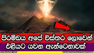 පිරමීඩ අතරේ සැගවුණු ජ්‍යාමිතික අංක හෙළි කරපු රහස | Ancient Egypt Pyramids Geometric Secrets