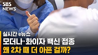 모더나 · 화이자 백신 접종, 왜 2차 때 더 아픈 걸까? / SBS / 실시간 e뉴스