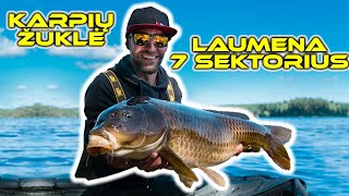 Karpių žvejyba. Laumena - 7 sektorius. (Carp Fishing @ Laumena)