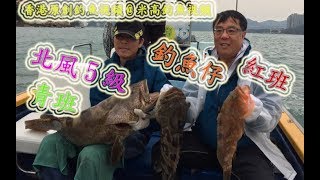 【香港釣魚】《北風5級擔外有青斑》『Offshore Grouper Fishing』