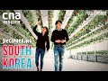 Korea, The Tech Nation: A Double-edged Sword? | Deciphering South Korea - Ep 4 | Cna Documentary