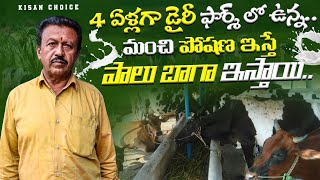 ఈ పద్దతి పాటిస్తే నష్టం రాకుండా లాభాలవైపు వెళ్లొచ్చు,లోకల్ బ్రీడ్ తొ పాటుగా HF, Jersey