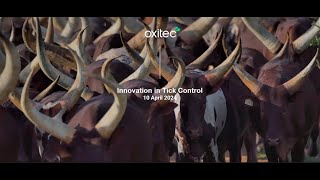 Oxitec's Innovation in Tick Control