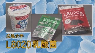 【知財マッチング】L8020乳酸菌（広島大）