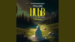 HubB - Song Of Love