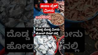 #fish #fishing ದೊಡ್ಡ ದೊಡ್ಡ ಮೀನು ಬಂದರಿನಲ್ಲಿ #fishfood