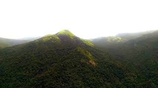 Pushpagiri Hill