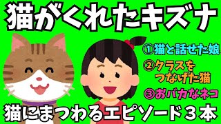 【ほっこり】猫がくれたキズナ 他2本 (ゆっくり)【子供 笑える話 楽しい 家族 赤ちゃん モフモフ ほのぼの 娘 感動 面白い話】