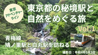 青梅線東京アドベンチャーラインの旅 Vol 1  鳩ノ巣駅と白丸駅編