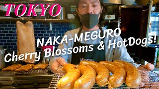 [4K] Cherry Blossoms Walk \u0026 Hot dogs | Travel Spots to visit | Nakameguro -Tokyo(Mar.25.2022)