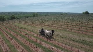 The French city of Chinon, the land of Rabelais