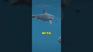 What Happens If You Go To N POINT In GTA 5