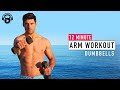 12 MINUTE | TONED ARMS WORKOUT | LIGHT Dumbbells (follow along w/ ASH)