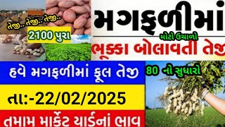 magfali na bhav | 22-02-2025 | મગફળી ના ભાવ:2025 | Information about cotton crop price | Commodity