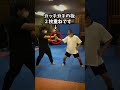 誰でもできるワンインチパンチ　 八極拳 中国武術 寸勁 ワンインチパンチ