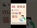 【东东印尼语】零基础学印尼语常用语 6 ｜表达希望 mau