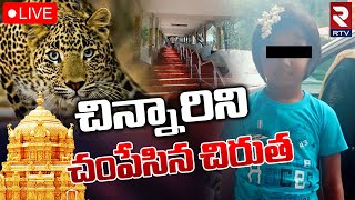 Cheetah Attack's Girl on Tirumala Ghat Road🔴LIVE తిరుమలలో విషాదం..6 ఏళ్ల చిన్నారిపై చిరుత | RTV