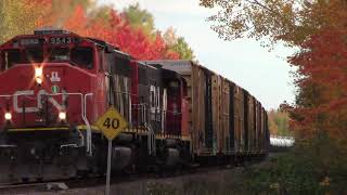 Long and Heavy CN Miramichi Local Train 569 at Lutesville East - Berry Mills, NB