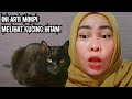 ARTIMIMPI || KUCING HITAM PERTANDA BURUK 😱