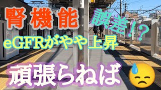 検査結果。誤差？ほどクレアチニン値上昇により eGFRが悪化ゾーンへ。まだまだ取り組みを頑張り、必ず改善する！と意思固め！「腎臓 改善維持 85」＃たんぱく質制限＃慢性腎臓病＃クレアチニンを下げたい