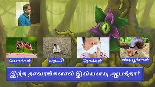 Top 5 Invasive Plant Species in Tamil - Vasanthan கொடிய விஷ(நச்சு) செடிகள் - வசந்தன்