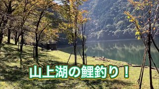 山上湖でジャミアタック！鯉釣りダム湖［10月］