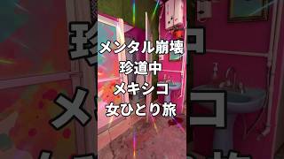 超お得スタアラ世界一周航空券/ビジネスクラスの旅も夢じゃない/不安的中・波乱の旅