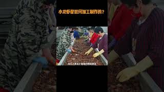 小龙虾是如何加工制作的？#小龙虾 #龙虾尾