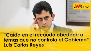 “Caída en el recaudo obedece a temas que no controla el Gobierno”: Luis Carlos Reyes