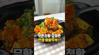 마파두부레시피 두반장없이 마파두부