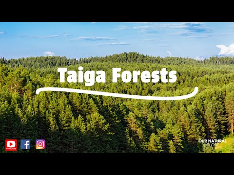 What is the largest terrestrial biome?