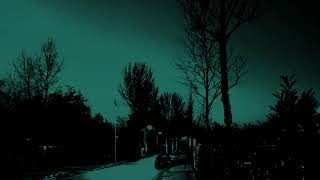 Playtube Pk Ultimate Video Sharing Website