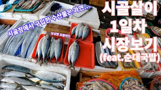 시골살이 1일차 시장보기 / 마트보다 비싼듯한 물가.. [ep.11]