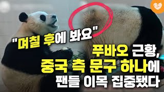 푸바오 근황 속 '문구 하나'에 팬들 술렁이고 있는 이유