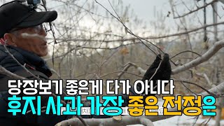 후지사과 가장 좋은 전정은? 겨울 전정 (강사 유병욱)