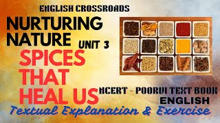 NCERT Class 6 English Poorvi Unit 3 Spices That Heal Us Textual Explanation and Textual Exercise