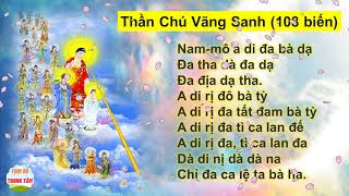 Chú Vãng Sanh 108 Biến_TT. Thích Huệ Duyên